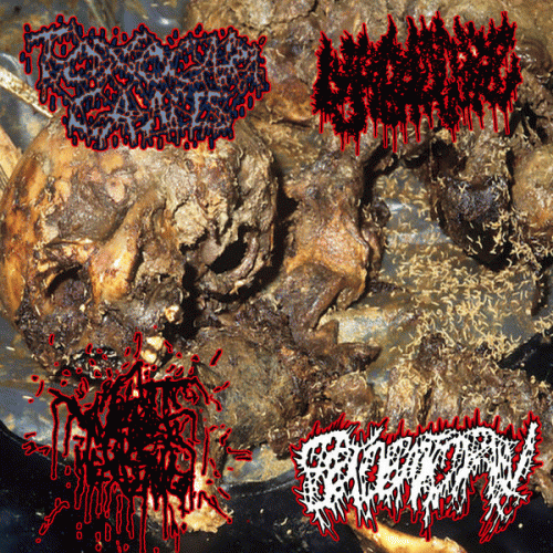 Epidemic Pain : Toxocara Canis - Lymphocytic - Shitwater Healing - Epidemic Pain